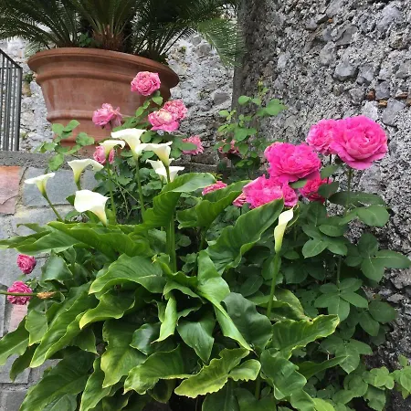 Un Capriccio - Mirto Aieta