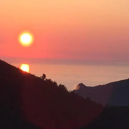 Un Capriccio - Mirto