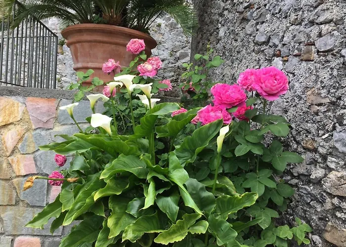 Un Capriccio - Mirto Aieta