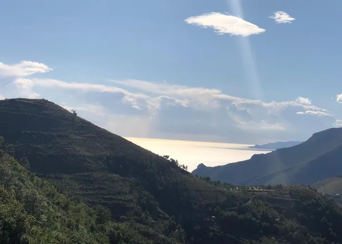 Un Capriccio - Mirto *